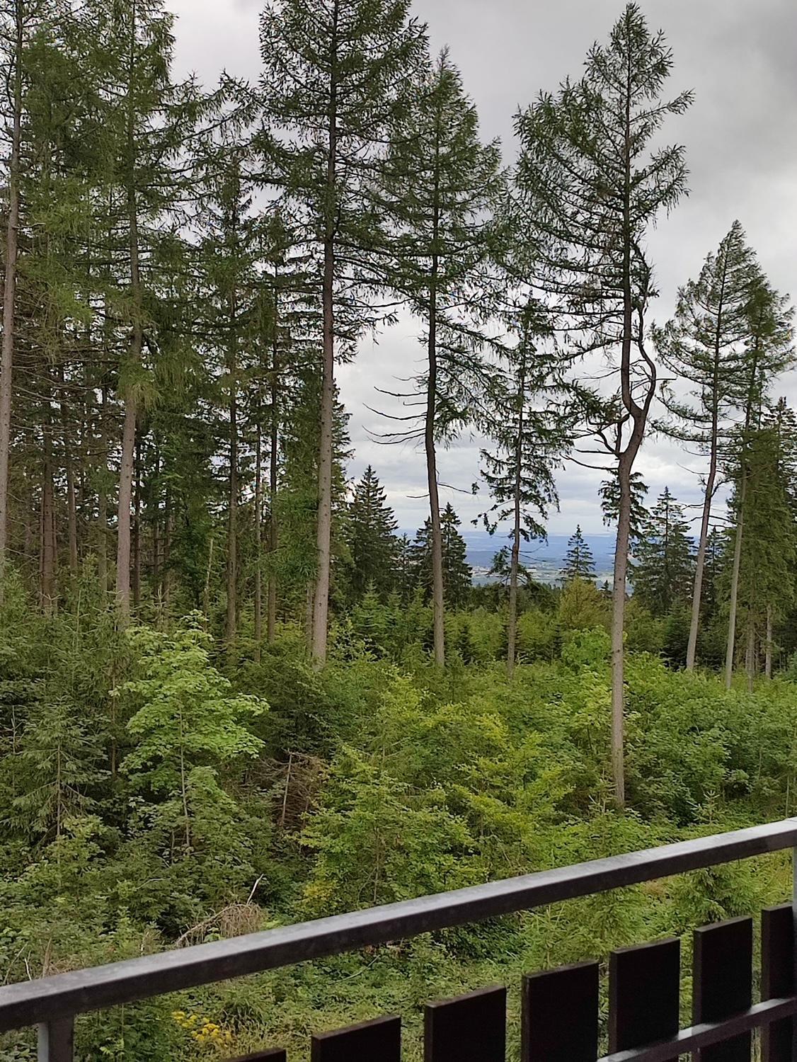 Haus Kuhberg Hotel Stutzengrun ภายนอก รูปภาพ